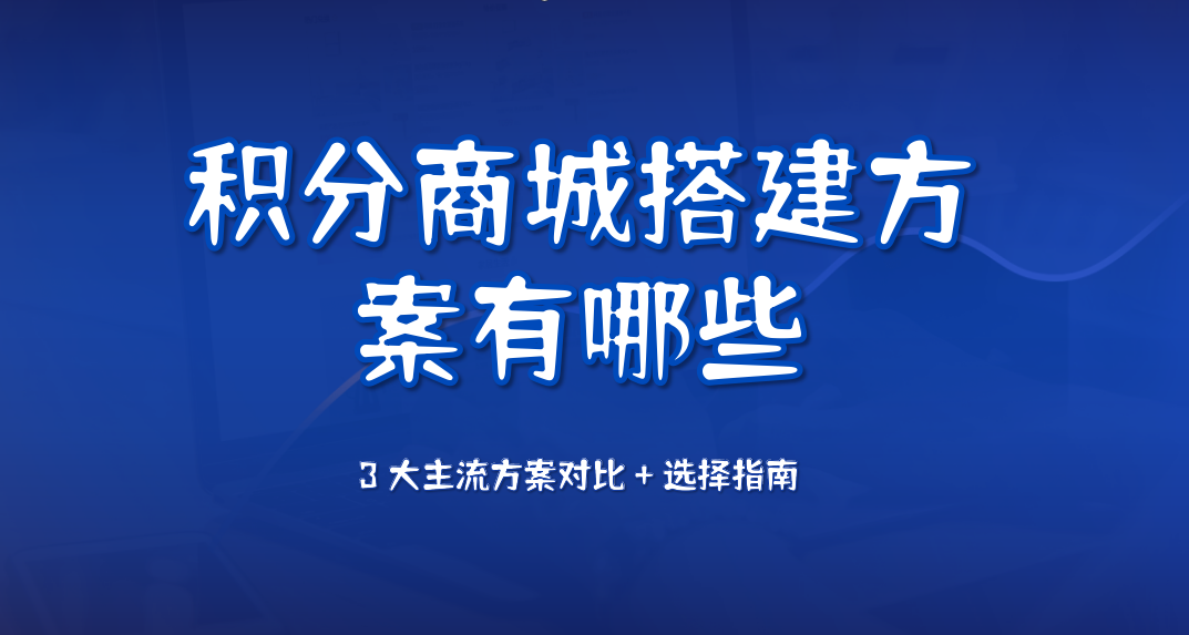 积分商城搭建方案有哪些？3 大主流方案对比 + 选择指南，附百分汇适配建议
