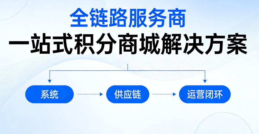 做积分商城选系统公司还是供应链公司？精准选型指南