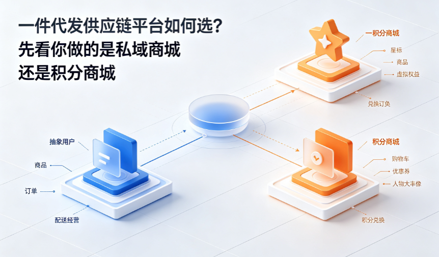 一件代发供应链平台如何选？先看你做的是私域商城还是积分商城