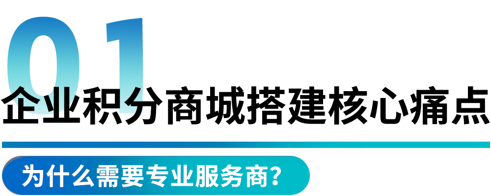 企业积分商城搭建痛点