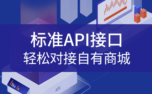 标准API接口